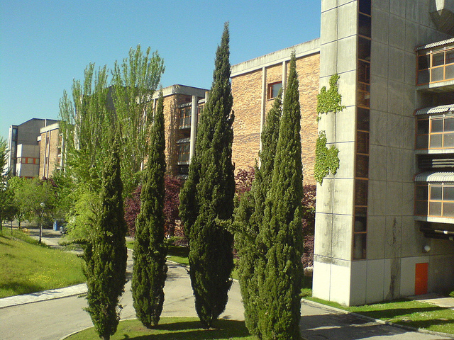 Vista Facultad